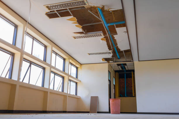 Best Commercial water damage restoration  in Pinebluff, NC