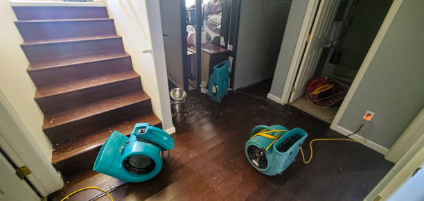 Best Water damage restoration near me  in Pinebluff, NC