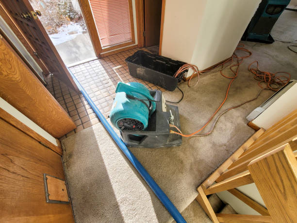 Best Water damage cleanup near me  in Pinebluff, NC