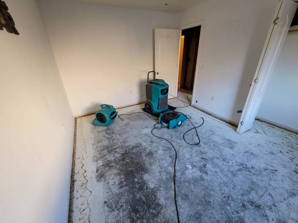 Best Carpet water damage restoration  in Pinebluff, NC