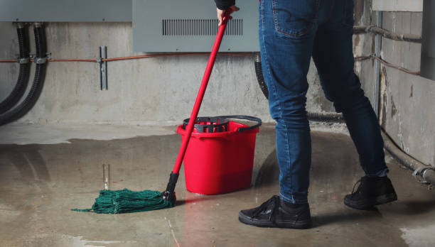 Best 24/7 water damage repair  in Pinebluff, NC