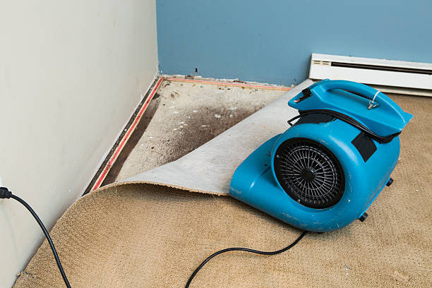 Best Local water damage restoration  in Pinebluff, NC